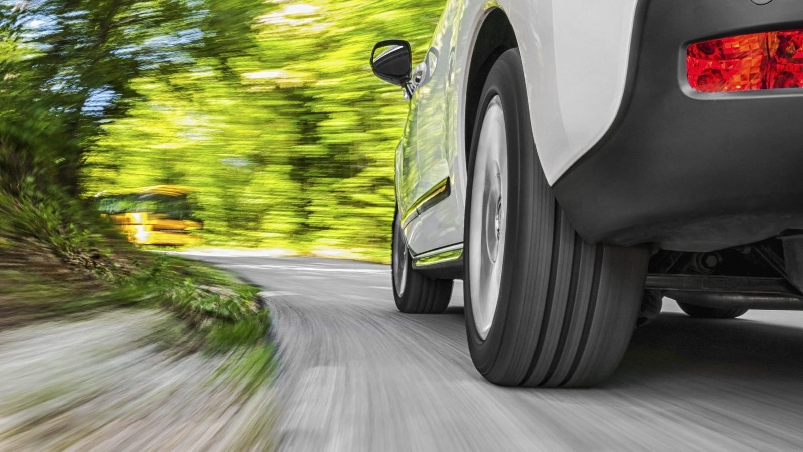 Car driving along a tree-lined country road